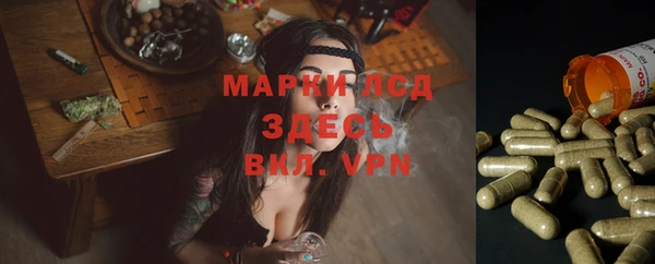 тгк Вязьма